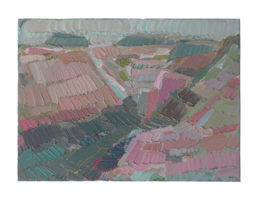 1991   rose canyon   40x55cm    oil on canvas