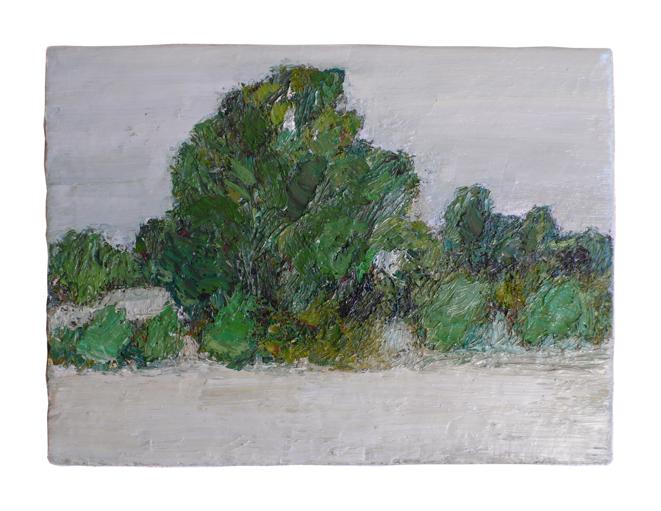 2010 bushes on the tableland 27x40cm oil on canvas