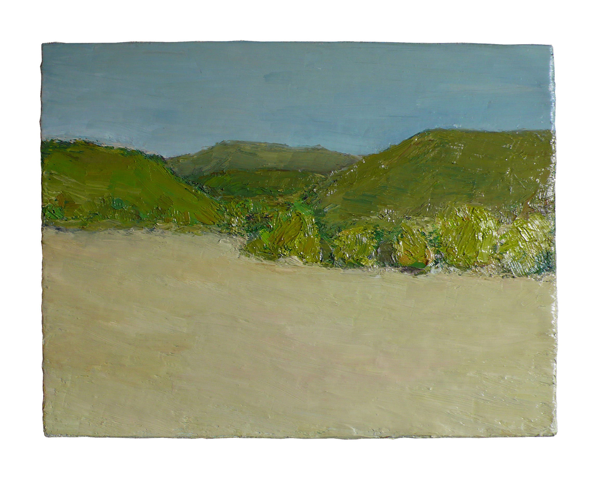 2015 gardenview 35x45cm oil on canvas