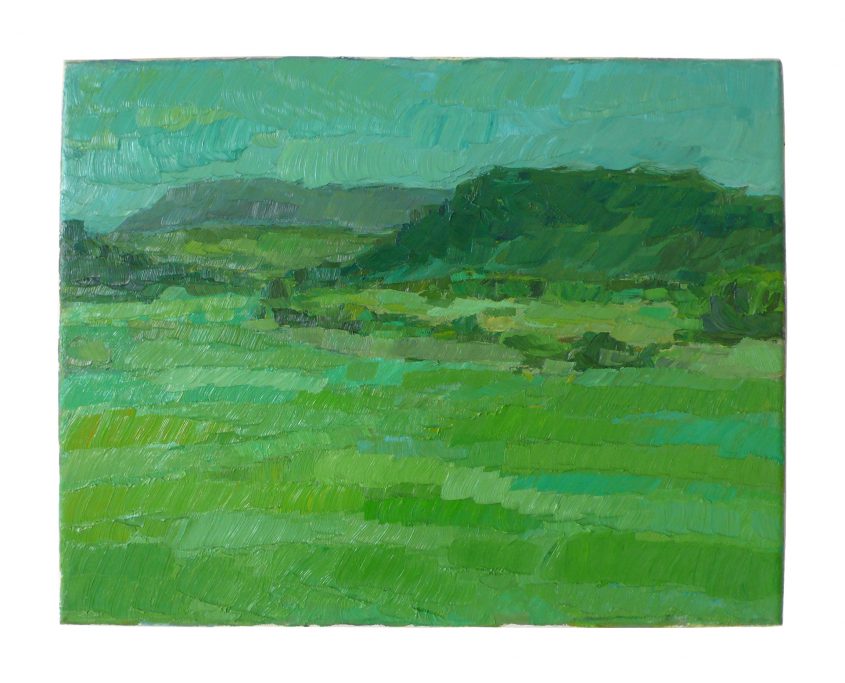 1992   green gardenview   35x45cm   oil on canvas