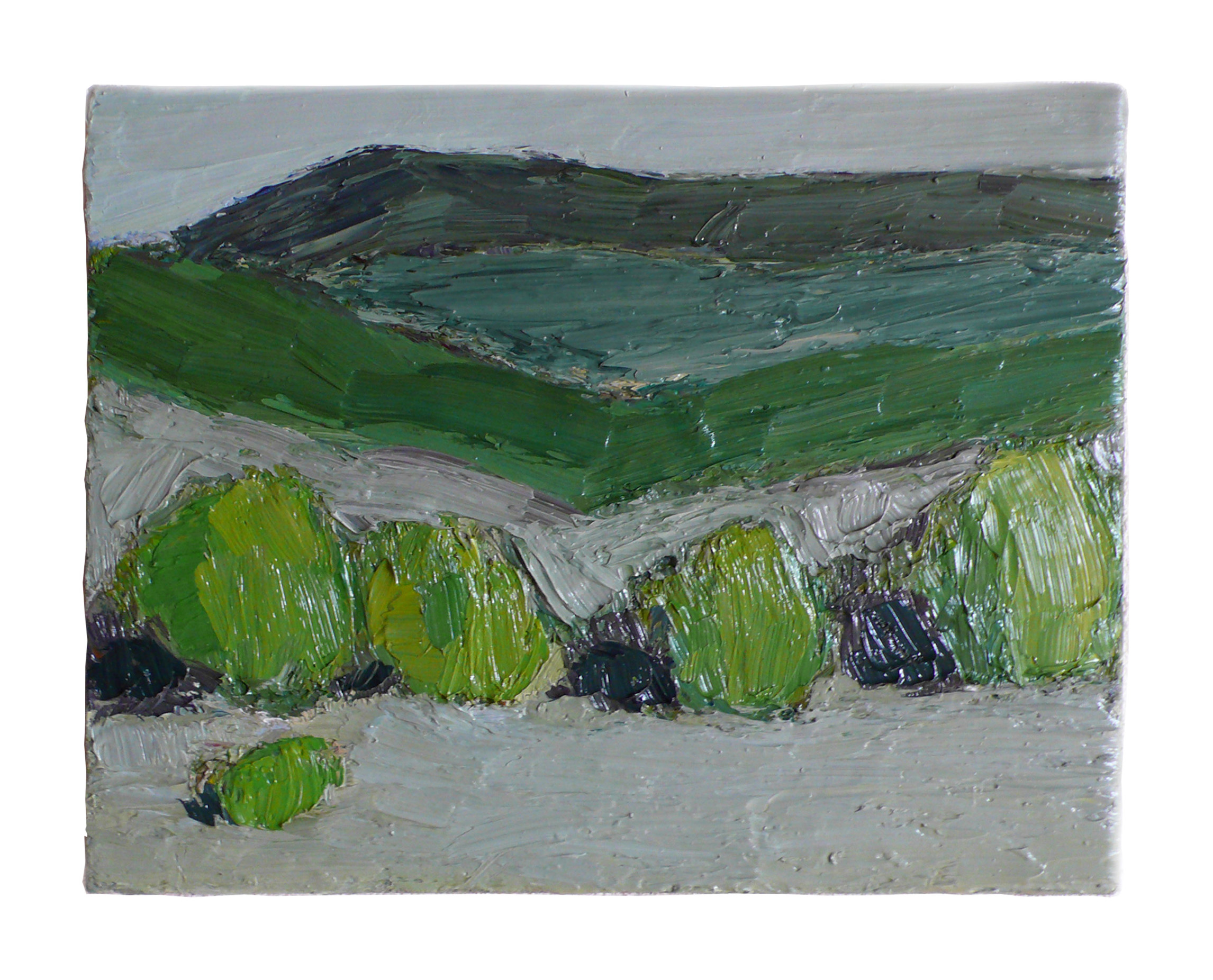 2011   bushes and mountains   28 x 35cm   oil on canvas